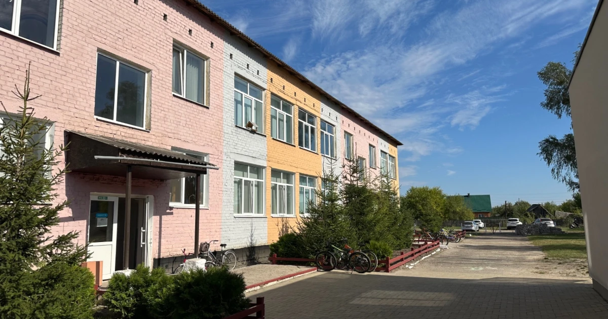 На подвір’ї школи — безпритульні собаки: батьки б'ють на сполох через тварин у Клесівському ліцеї