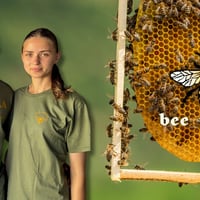 Власна пасіка з нуля на Поліссі: гід бджільництвом для новачків від магазину Bee Pasika