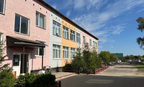 На подвір’ї школи — безпритульні собаки: батьки б'ють на сполох через тварин у Клесівському ліцеї