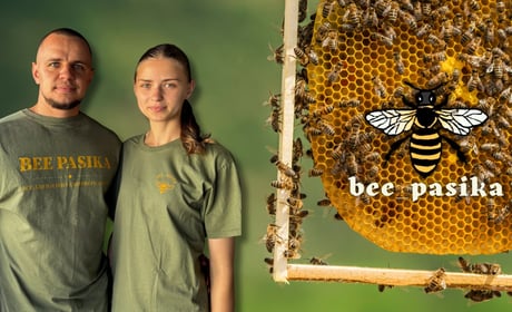Власна пасіка з нуля на Поліссі: гід бджільництвом для новачків від магазину Bee Pasika