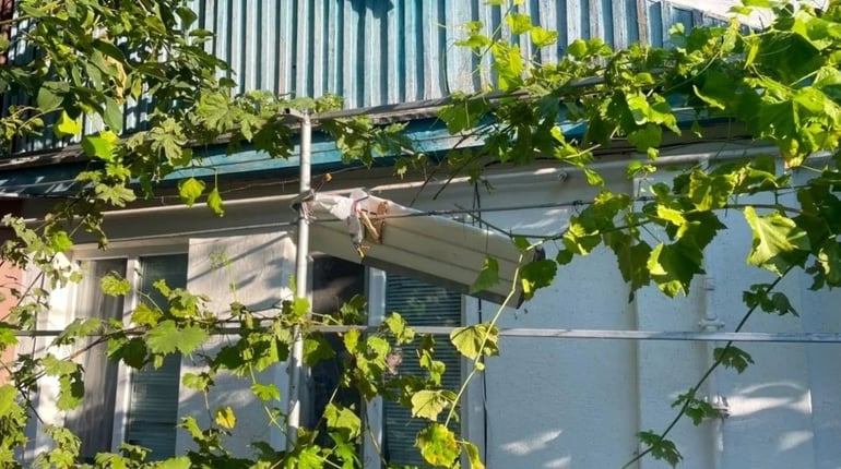 На Херсонщині окупанти атакували житлові будинки, автобус та приватні автівки