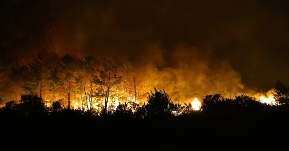 Лісові пожежі в Туреччині — в Анталії загинула людина, вогонь гасять у кількох регіонах