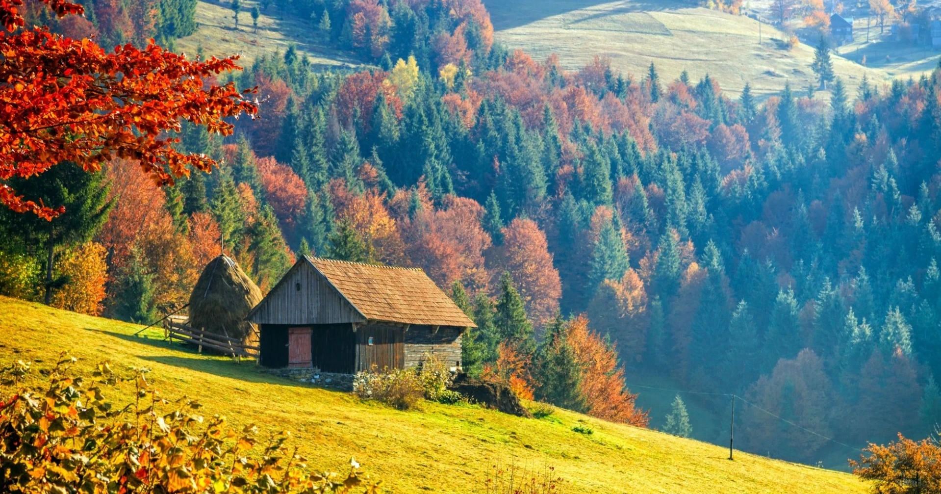 5 причин піти в Карпати восени — менше туристів, яскраві ліси і шанс побачити «карпатське море»
