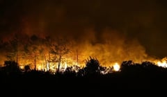 Лісові пожежі в Туреччині — в Анталії загинула людина, вогонь гасять у кількох регіонах