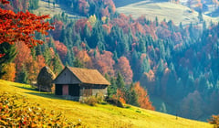 5 причин піти в Карпати восени — менше туристів, яскраві ліси і шанс побачити «карпатське море»
