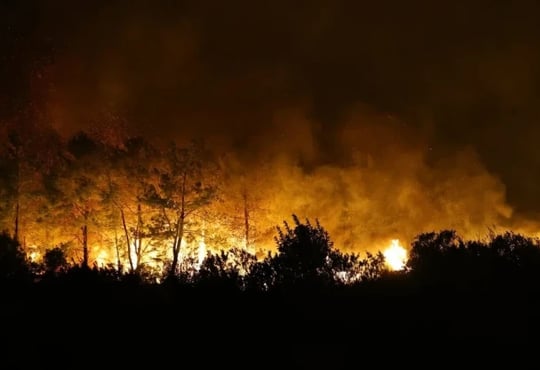 Лісові пожежі в Туреччині — в Анталії загинула людина, вогонь гасять у кількох регіонах