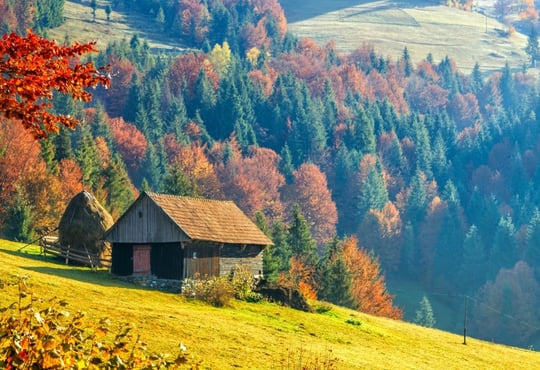 5 причин піти в Карпати восени — менше туристів, яскраві ліси і шанс побачити «карпатське море»