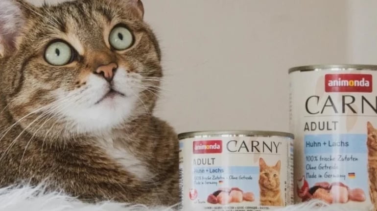 Корм Animonda для котів: особливості складу та вибір раціону