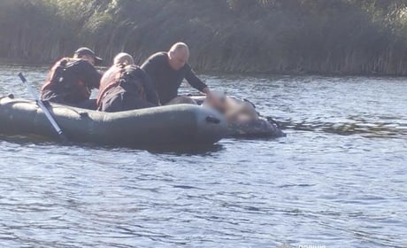 Пошуки 11-річного Дмитра на Вознесенщині завершилися трагедією – хлопчика знайшли у річці