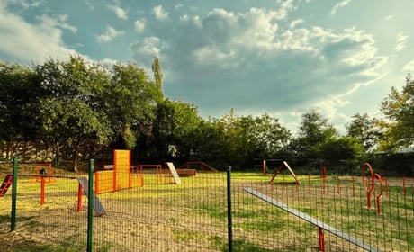 Майданчик для тренування собак у Південноукраїнську: як з’явився, хто має ключ і чого бракує