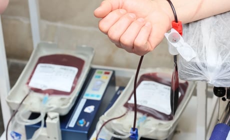Вереснева донація крові у Південноукраїнську: дата, умови та додатковий вихідний для донора