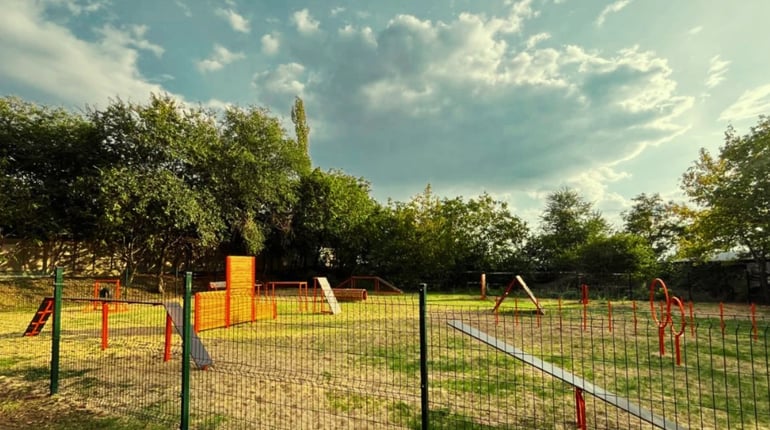 Майданчик для тренування собак у Південноукраїнську: як з’явився, хто має ключ і чого бракує