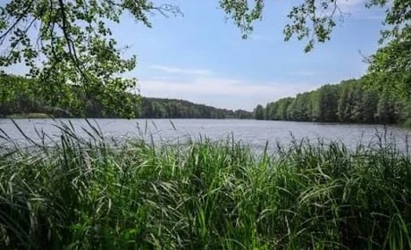 Радіаційний стан навколо Хмельницької АЕС за минулий тиждень