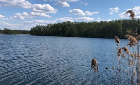 Радіаційний стан навколо Хмельницької АЕС за минулий тиждень