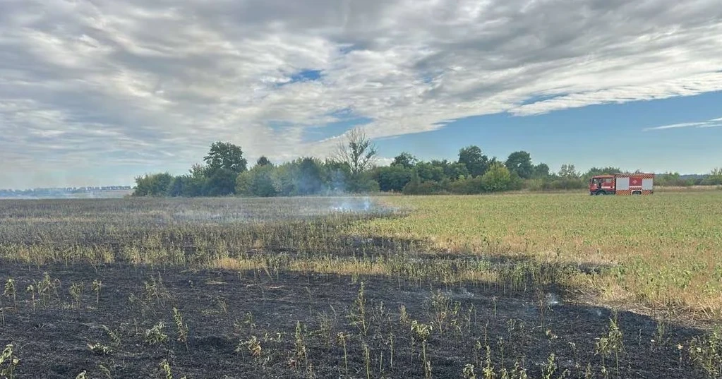 На Городоччині за чотири дні сталося три пожежі: горіли суха трава та літня кухня