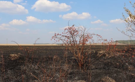 10 років тому: пожежа, яка могла обернутися трагедією для цілого села