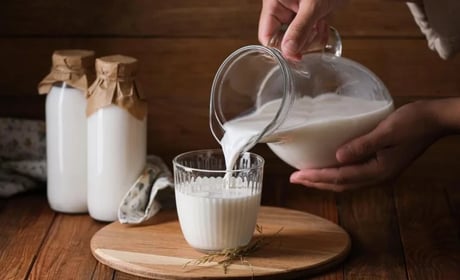 Три десерти з молока: іспанський Leche frita, італійська панакота та домашній пудинг