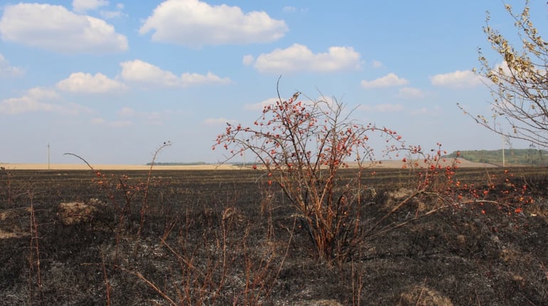 10 років тому: пожежа, яка могла обернутися трагедією для цілого села