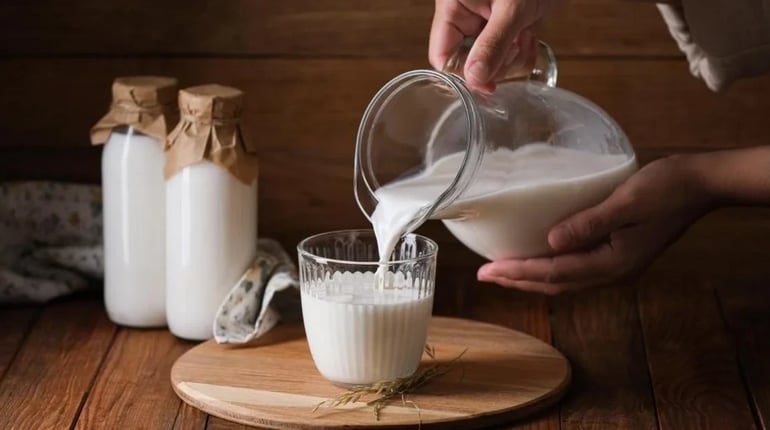 Три десерти з молока: іспанський Leche frita, італійська панакота та домашній пудинг