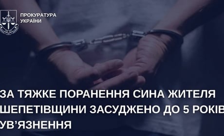 На Шепетівщині чоловіка засуджено до 5 років ув’язнення за тяжке поранення сина