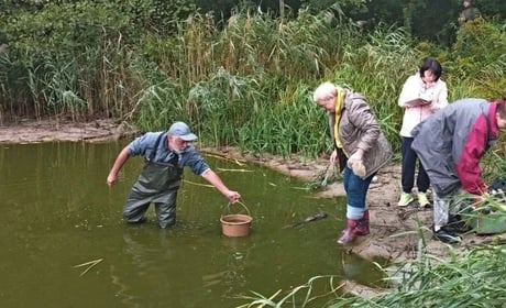 Науковці перевірили якість води у водоймах «Малого Полісся»