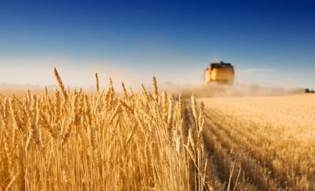 Аграрії Хмельниччини завершили збирання ранніх культур