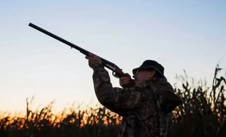 Сезон полювання на Хмельниччині відкрили з порушеннями
