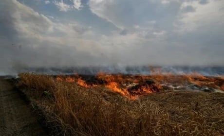 Через російську агресію на Хмельниччині забруднені ґрунти та завдано понад 2,2 млрд гривень збитків