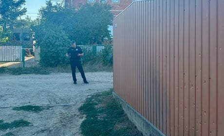 У Теплодарі жінка кинула три бойові гранати на подвір'я сусідів: одна вибухнула