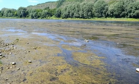 Рівень води у Дністровському водосховищі продовжує падати: можливі наслідки