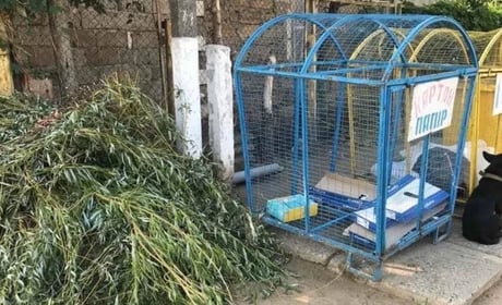 Графік вивезення сміття у Біляївці: комунальники нагадують правила та тариф