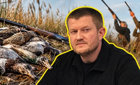 На Одещині 4 рази на тиждень лунатимуть постріли: не через війну, ОВА дозволила полювання на птахів