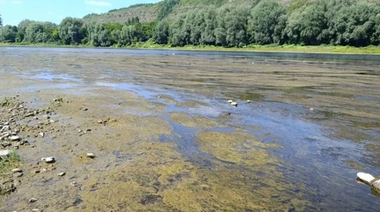 Рівень води у Дністровському водосховищі продовжує падати: можливі наслідки
