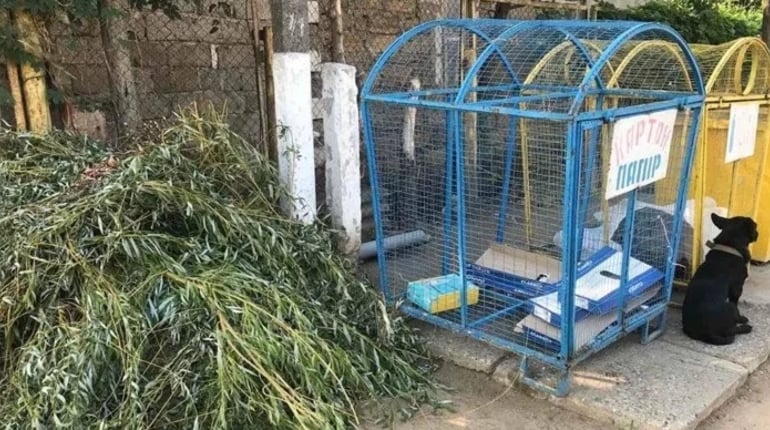 Графік вивезення сміття у Біляївці: комунальники нагадують правила та тариф