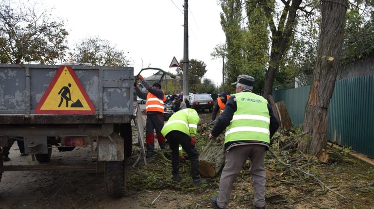 У Біляївській громаді видаляють аварійні дерева перед зимою