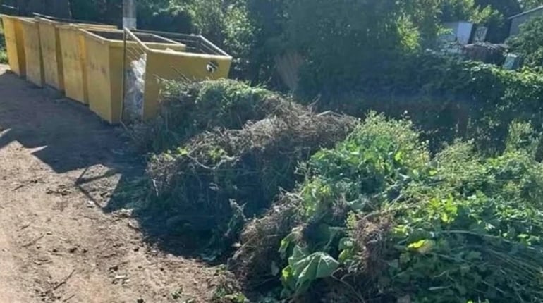 Гілки, будівельне сміття та меблі: у Біляївці нагадали, що не можна залишати біля контейнерів