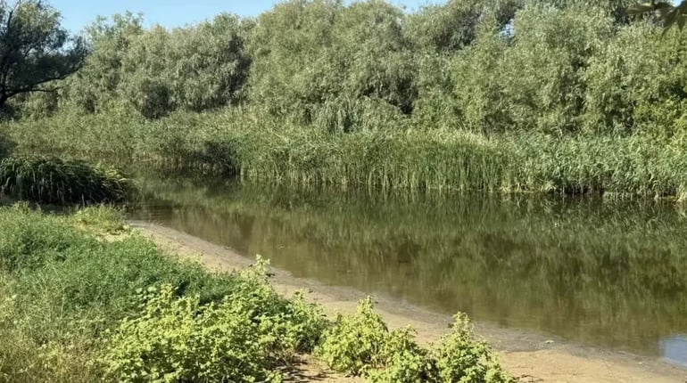 Дамба, загибла риба та мільярдні збитки: що сталося з озером Васильки