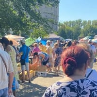 Скільки коштують овочі на ринку поблизу "Таїсу" у Жовтих Водах: фото товарів. Серпень 2026
