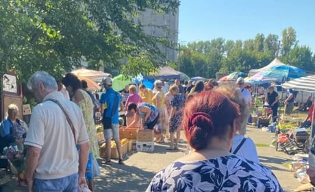 Скільки коштують овочі на ринку поблизу "Таїсу" у Жовтих Водах: фото товарів. Серпень 2026