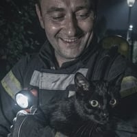 Кожне життя — важливе: на Кременеччині врятували кота