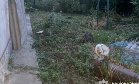 На Кременеччині чоловік застрелив сусідського кота