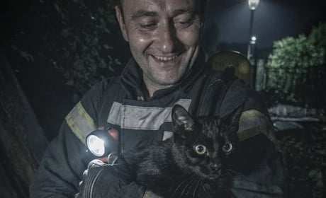 Кожне життя — важливе: на Кременеччині врятували кота