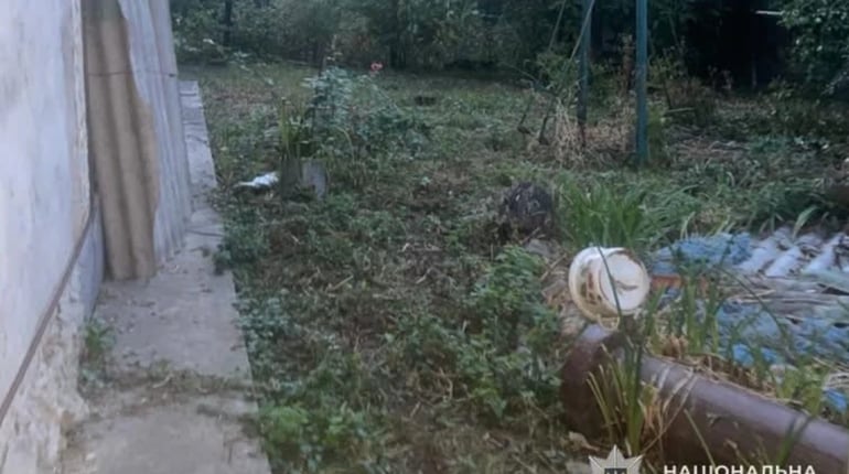 На Кременеччині чоловік застрелив сусідського кота