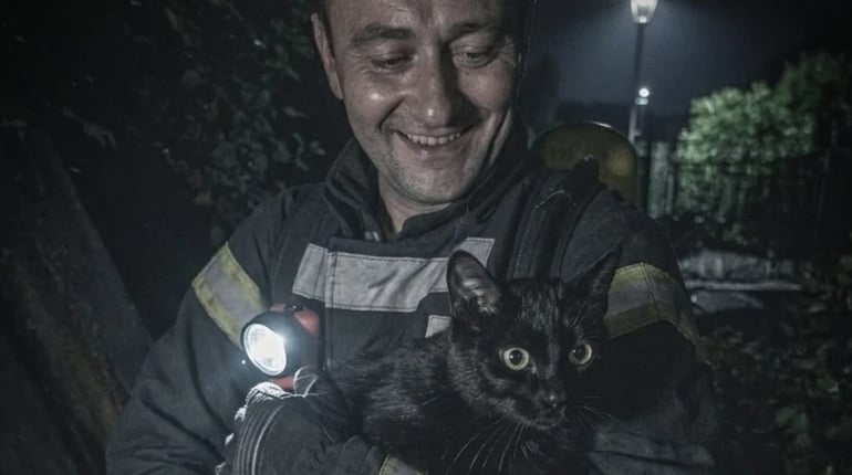 Кожне життя — важливе: на Кременеччині врятували кота