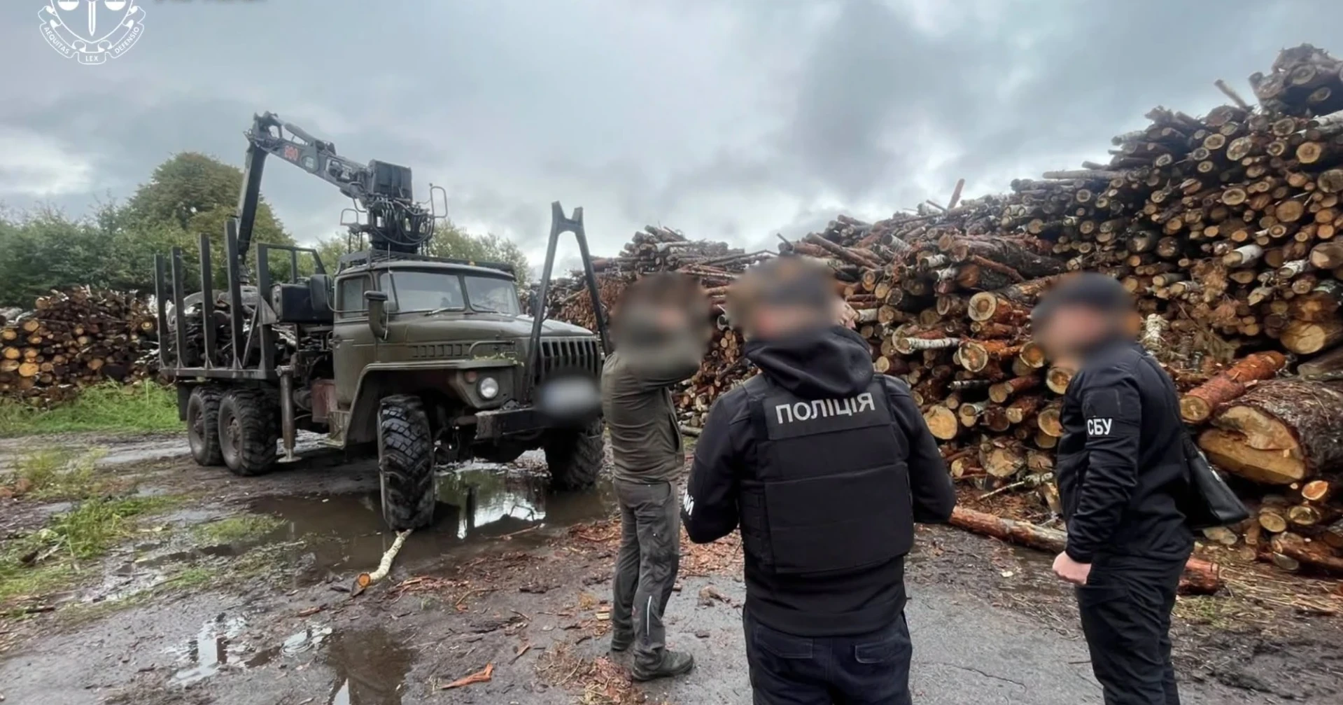 На Житомирщині викрили незаконну вирубку лісу на 33 мільйони гривень