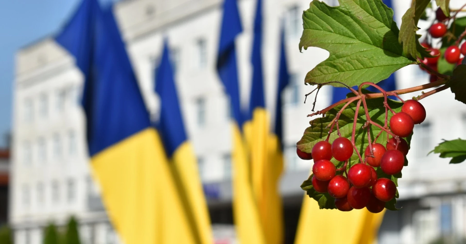 Які питання винесуть на засідання виконкому у Звягелі 23 вересня: порядок денний