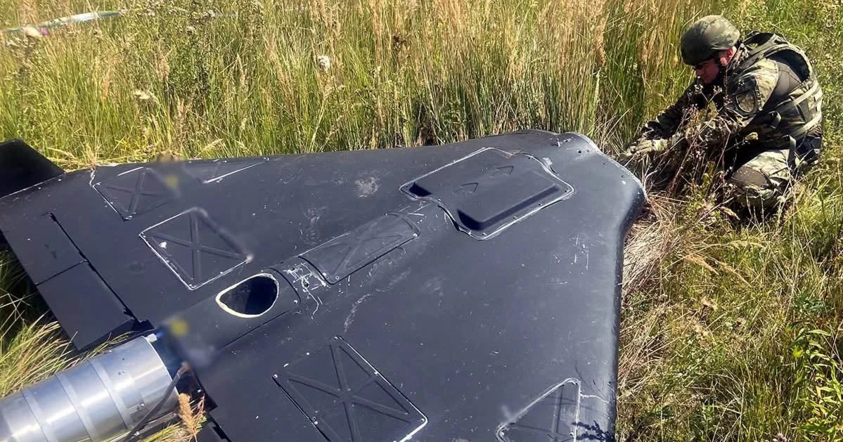 Небезпечна знахідка: на Житомирщині знищили бойову частину ворожого безпілотника (відео)