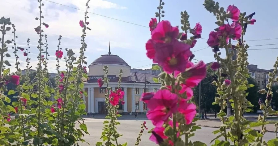 22 серпня у Звягелі тимчасово обмежать рух транспорту
