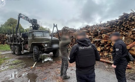 На Житомирщині викрили незаконну вирубку лісу на 33 мільйони гривень