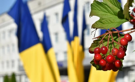 Які питання винесуть на засідання виконкому у Звягелі 23 вересня: порядок денний